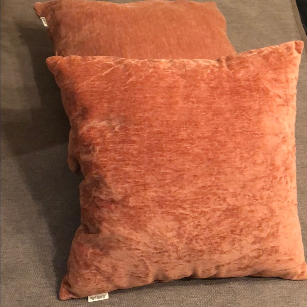 Decorative pillows-set of 2